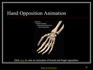 Hand Opposition Animation




       Click here to view an animation of thumb and finger opposition.

Medical Terminology: A Living Language, Fourth Edition
                                                                         166
Bonnie F. Fremgen and Suzanne S. Frucht         Back     to Directory
 