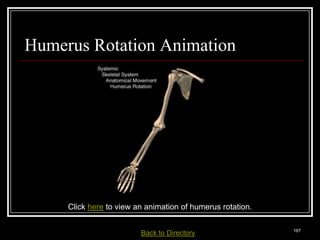 Humerus Rotation Animation




                Click here to view an animation of humerus rotation.

Medical Terminology: A Living Language, Fourth Edition
                                                                        167
Bonnie F. Fremgen and Suzanne S. Frucht         Back     to Directory
 
