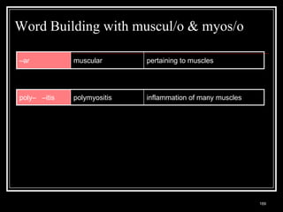 Word Building with muscul/o & myos/o

–ar                      muscular                          pertaining to muscles




poly– –itis              polymyositis                      inflammation of many muscles




  Medical Terminology: A Living Language, Fourth Edition
                                                                                          169
  Bonnie F. Fremgen and Suzanne S. Frucht
 