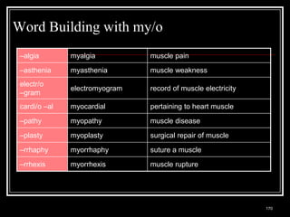Word Building with my/o
 –algia                 myalgia                             muscle pain

 –asthenia              myasthenia                          muscle weakness
 electr/o
                        electromyogram                      record of muscle electricity
 –gram
 cardi/o –al            myocardial                          pertaining to heart muscle

 –pathy                 myopathy                            muscle disease
 –plasty                myoplasty                           surgical repair of muscle

 –rrhaphy               myorrhaphy                          suture a muscle
 –rrhexis               myorrhexis                          muscle rupture




   Medical Terminology: A Living Language, Fourth Edition
                                                                                           170
   Bonnie F. Fremgen and Suzanne S. Frucht
 