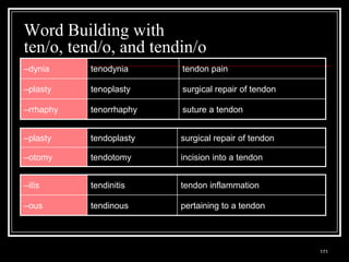 Word Building with
ten/o, tend/o, and tendin/o
–dynia                   tenodynia                         tendon pain

–plasty                  tenoplasty                        surgical repair of tendon

–rrhaphy                 tenorrhaphy                       suture a tendon


–plasty                  tendoplasty                       surgical repair of tendon

–otomy                   tendotomy                         incision into a tendon


–itis                    tendinitis                        tendon inflammation

–ous                     tendinous                         pertaining to a tendon



  Medical Terminology: A Living Language, Fourth Edition
                                                                                       171
  Bonnie F. Fremgen and Suzanne S. Frucht
 