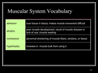 Muscular System Vocabulary

adhesion                  scar tissue in fascia; makes muscle movement difficult

                          poor muscle development; result of muscle disease or
atrophy
                          lack of use; muscle wasting

contracture               abnormal shortening of muscle fibers, tendons, or fascia


hypertrophy               increase in muscle bulk from using it




  Medical Terminology: A Living Language, Fourth Edition
                                                                                     174
  Bonnie F. Fremgen and Suzanne S. Frucht
 