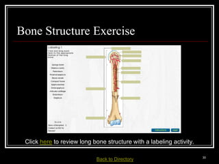Bone Structure Exercise




  Click here to review long bone structure with a labeling activity.

Medical Terminology: A Living Language, Fourth Edition
                                                                        30
Bonnie F. Fremgen and Suzanne S. Frucht         Back     to Directory
 