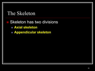 The Skeleton
    Skeleton has two divisions
          Axial skeleton
          Appendicular skeleton




    Medical Terminology: A Living Language, Fourth Edition
                                                             35
    Bonnie F. Fremgen and Suzanne S. Frucht
 