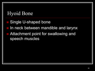 Hyoid Bone
    Single U-shaped bone
    In neck between mandible and larynx
    Attachment point for swallowing and
     speech muscles




    Medical Terminology: A Living Language, Fourth Edition
                                                             48
    Bonnie F. Fremgen and Suzanne S. Frucht
 