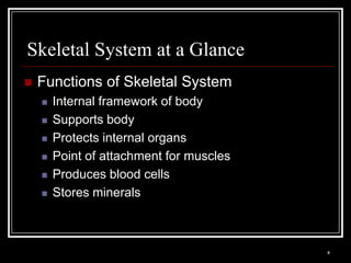Skeletal System at a Glance
    Functions of Skeletal System
          Internal framework of body
          Supports body
          Protects internal organs
          Point of attachment for muscles
          Produces blood cells
          Stores minerals



    Medical Terminology: A Living Language, Fourth Edition
                                                             4
    Bonnie F. Fremgen and Suzanne S. Frucht
 