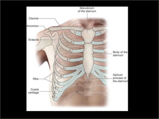 Medical Terminology: A Living Language, Fourth Edition
                                                         57
Bonnie F. Fremgen and Suzanne S. Frucht
 