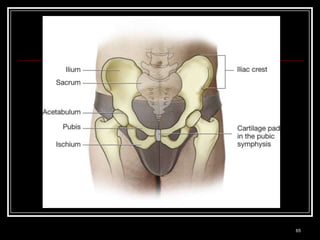 Medical Terminology: A Living Language, Fourth Edition
                                                         65
Bonnie F. Fremgen and Suzanne S. Frucht
 