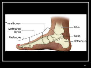 Medical Terminology: A Living Language, Fourth Edition
                                                         69
Bonnie F. Fremgen and Suzanne S. Frucht
 