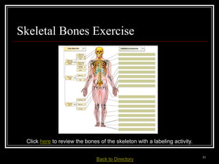 Skeletal Bones Exercise




   Click here to review the bones of the skeleton with a labeling activity.

Medical Terminology: A Living Language, Fourth Edition
                                                                              71
Bonnie F. Fremgen and Suzanne S. Frucht         Back     to Directory
 