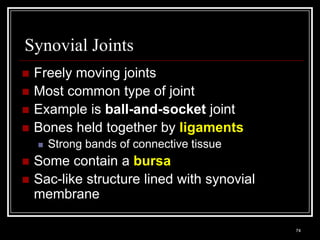 Synovial Joints
    Freely moving joints
    Most common type of joint
    Example is ball-and-socket joint
    Bones held together by ligaments
          Strong bands of connective tissue
    Some contain a bursa
    Sac-like structure lined with synovial
     membrane

    Medical Terminology: A Living Language, Fourth Edition
                                                             74
    Bonnie F. Fremgen and Suzanne S. Frucht
 