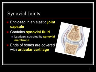 Synovial Joints
    Enclosed in an elastic joint
     capsule
    Contains synovial fluid
          Lubricant secreted by synovial
           membrane
    Ends of bones are covered
     with articular cartilage



    Medical Terminology: A Living Language, Fourth Edition
                                                             75
    Bonnie F. Fremgen and Suzanne S. Frucht
 