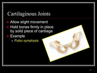 Cartilaginous Joints
    Allow slight movement
    Hold bones firmly in place
     by solid piece of cartilage
    Example
          Pubic symphysis




    Medical Terminology: A Living Language, Fourth Edition
                                                             77
    Bonnie F. Fremgen and Suzanne S. Frucht
 