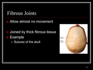 Fibrous Joints
    Allow almost no movement

    Joined by thick fibrous tissue
    Example
          Sutures of the skull




    Medical Terminology: A Living Language, Fourth Edition
                                                             78
    Bonnie F. Fremgen and Suzanne S. Frucht
 