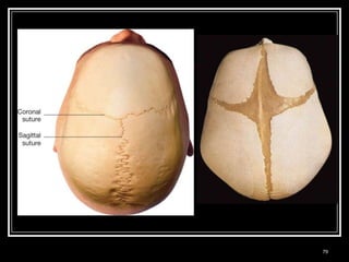 Medical Terminology: A Living Language, Fourth Edition
                                                         79
Bonnie F. Fremgen and Suzanne S. Frucht
 