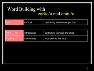 Word Building with
              cortic/o and crani/o
–al                      cortical                          pertaining to the outer portion



intra– –al               intracranial                      pertaining to inside the skull

–otomy                   craniotomy                        incision into the skull




  Medical Terminology: A Living Language, Fourth Edition
                                                                                             83
  Bonnie F. Fremgen and Suzanne S. Frucht
 