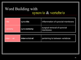 Word Building with
               synov/o & vertebr/o

–itis                    synovitis                         inflammation of synovial membrane

                                                           surgical removal of synovial
–ectomy                  synovectomy
                                                           membrane



inter– –al               intervertebral                    pertaining to between vertebrae




  Medical Terminology: A Living Language, Fourth Edition
                                                                                               86
  Bonnie F. Fremgen and Suzanne S. Frucht
 
