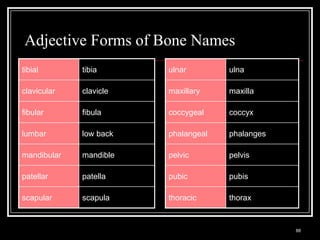 Adjective Forms of Bone Names
tibial                    tibia                             ulnar        ulna

clavicular                clavicle                          maxillary    maxilla

fibular                   fibula                            coccygeal    coccyx

lumbar                    low back                          phalangeal   phalanges

mandibular                mandible                          pelvic       pelvis

patellar                  patella                           pubic        pubis

scapular                  scapula                           thoracic     thorax


   Medical Terminology: A Living Language, Fourth Edition
                                                                                     88
   Bonnie F. Fremgen and Suzanne S. Frucht
 