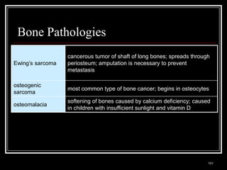 Bone Pathologies
                              cancerous tumor of shaft of long bones; spreads through
Ewing’s sarcoma               periosteum; amputation is necessary to prevent
                              metastasis

osteogenic
                              most common type of bone cancer; begins in osteocytes
sarcoma
                              softening of bones caused by calcium deficiency; caused
osteomalacia
                              in children with insufficient sunlight and vitamin D




  Medical Terminology: A Living Language, Fourth Edition
                                                                                    101
  Bonnie F. Fremgen and Suzanne S. Frucht
 