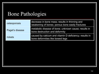 Bone Pathologies
                                 decrease in bone mass; results in thinning and
osteoporosis
                                 weakening of bones; porous bone easily fractures
                                 metabolic disease of bone; unknown cause; results in
Paget’s disease
                                 bone destruction and deformity
                                 caused by calcium and vitamin D deficiency; results in
rickets
                                 bone deformities like bowed legs




  Medical Terminology: A Living Language, Fourth Edition
                                                                                          102
  Bonnie F. Fremgen and Suzanne S. Frucht
 