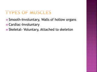  Smooth-Involuntary, Walls of hollow organs
 Cardiac-Involuntary
 Skeletal- Voluntary, Attached to skeleton
 