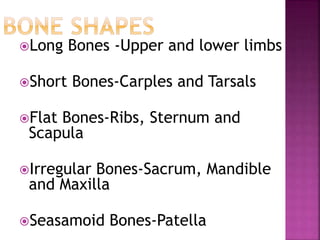 Long Bones -Upper and lower limbs
Short Bones-Carples and Tarsals
Flat Bones-Ribs, Sternum and
Scapula
Irregular Bones-Sacrum, Mandible
and Maxilla
Seasamoid Bones-Patella
 