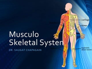 Musculo
Skeletal System
DR. SAUGAT CHAPAGAIN
 