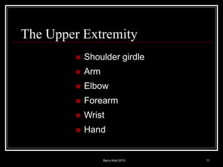 Barry Kidd 2010 11
The Upper Extremity
 Shoulder girdle
 Arm
 Elbow
 Forearm
 Wrist
 Hand
 