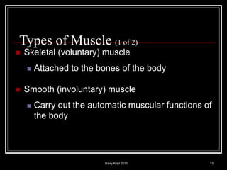 Barry Kidd 2010 13
Types of Muscle (1 of 2)
 Skeletal (voluntary) muscle
 Attached to the bones of the body
 Smooth (involuntary) muscle
 Carry out the automatic muscular functions of
the body
 