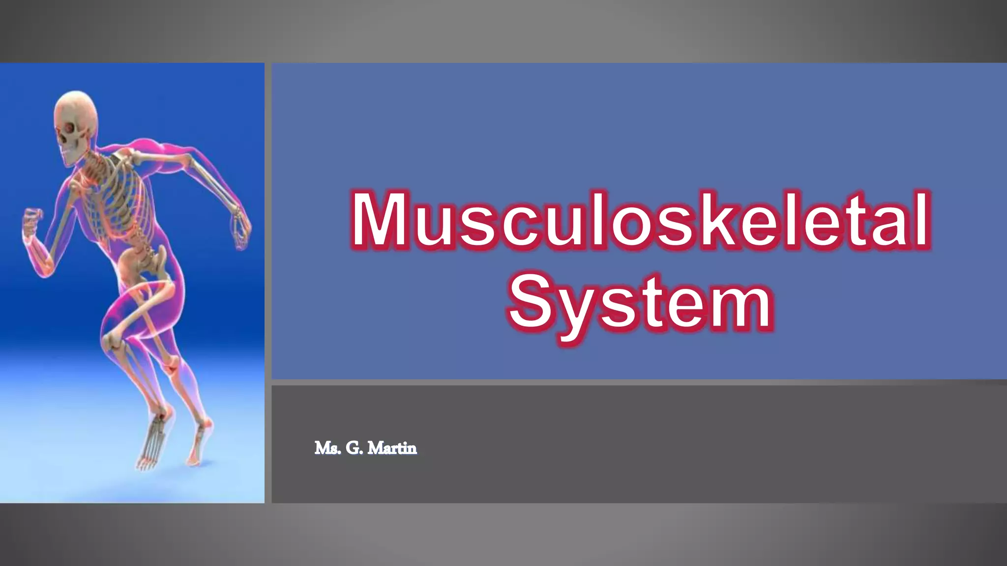 Musculoskeletal system | PPTX