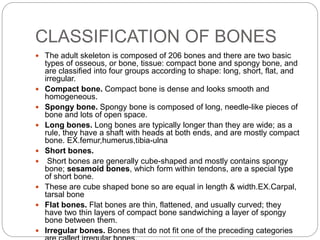 Musculoskeletal system | PPTX