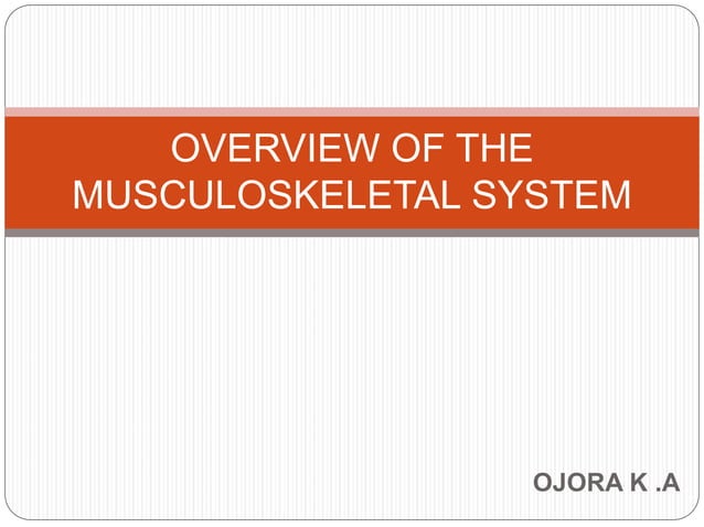 MUSCULOSKELETAL SYSTEM.ppt | Death, Injury, or Military Conflict ...