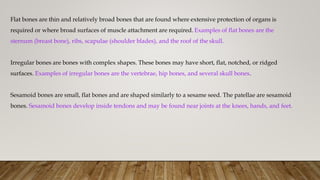 Flat bones are thin and relatively broad bones that are found where extensive protection of organs is
required or where broad surfaces of muscle attachment are required. Examples of flat bones are the
sternum (breast bone), ribs, scapulae (shoulder blades), and the roof of the skull.
Irregular bones are bones with complex shapes. These bones may have short, flat, notched, or ridged
surfaces. Examples of irregular bones are the vertebrae, hip bones, and several skull bones.
Sesamoid bones are small, flat bones and are shaped similarly to a sesame seed. The patellae are sesamoid
bones. Sesamoid bones develop inside tendons and may be found near joints at the knees, hands, and feet.
 