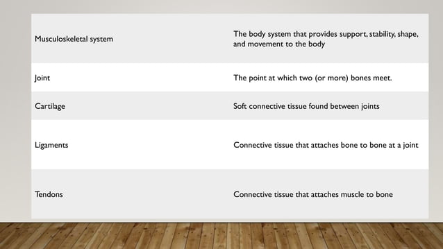 Human Body Musculoskeletal System Pdf