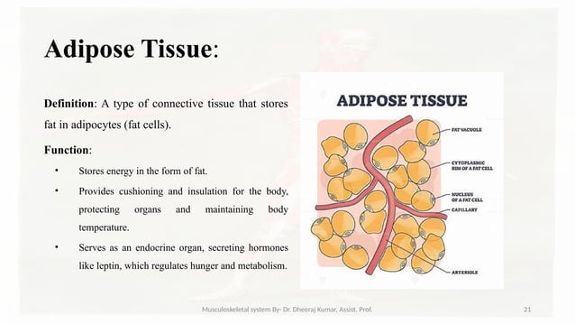Musculoskeletal systemIt is composed of bones, muscles, connective ...