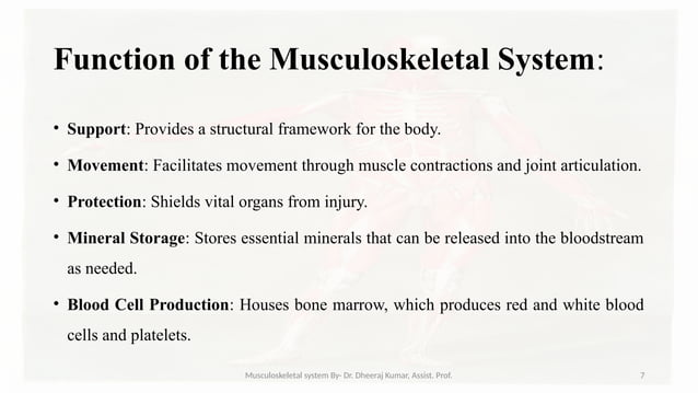 Musculoskeletal systemIt is composed of bones, muscles, connective ...