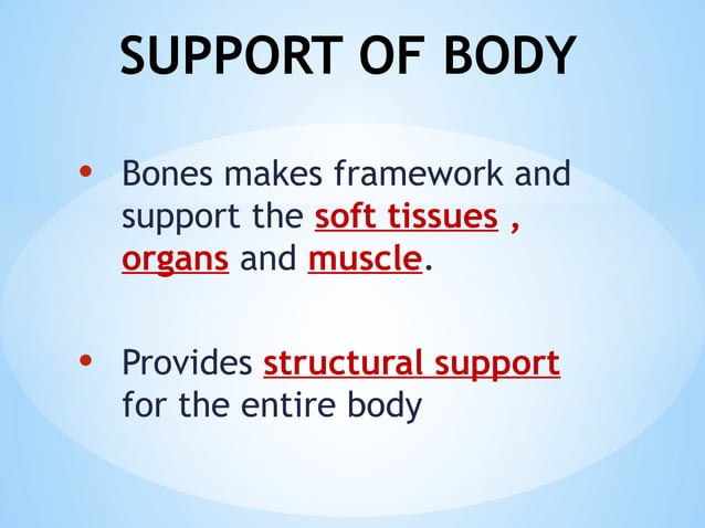 MUSCULOSKELETAL SYSTEM ANATOMY AND FUNCTIONS visual data 7