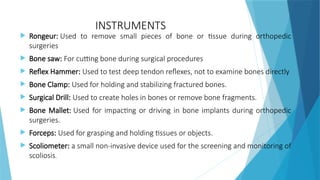 Comprehensive Overview of the Human Skeletal System: Structure ...