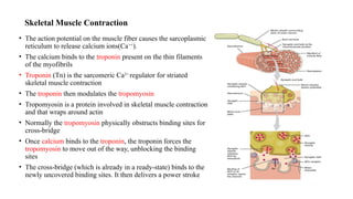 Comprehensive Overview of the Human Musculoskeletal System and Skeletal ...