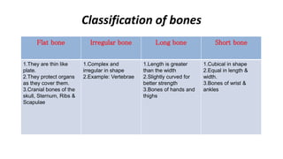 Musculoskeletal System | PPTX