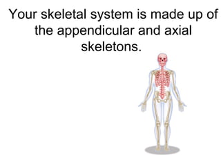 Your skeletal system is made up of
the appendicular and axial
skeletons.
 