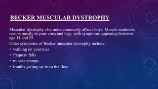 BECKER MUSCULAR DYSTROPHY
Muscular dystrophy also more commonly affects boys. Muscle weakness
occurs mostly in your arms and legs, with symptoms appearing between
age 11 and 25.
Other symptoms of Becker muscular dystrophy include:
• walking on your toes
• frequent falls
• muscle cramps
• trouble getting up from the floor
 