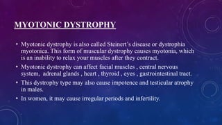 MYOTONIC DYSTROPHY
• Myotonic dystrophy is also called Steinert’s disease or dystrophia
myotonica. This form of muscular dystrophy causes myotonia, which
is an inability to relax your muscles after they contract.
• Myotonic dystrophy can affect facial muscles , central nervous
system, adrenal glands , heart , thyroid , eyes , gastrointestinal tract.
• This dystrophy type may also cause impotence and testicular atrophy
in males.
• In women, it may cause irregular periods and infertility.
 
