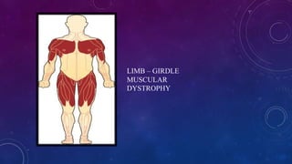 LIMB – GIRDLE
MUSCULAR
DYSTROPHY
 