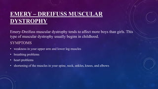 EMERY – DREIFUSS MUSCULAR
DYSTROPHY
Emery-Dreifuss muscular dystrophy tends to affect more boys than girls. This
type of muscular dystrophy usually begins in childhood.
SYMPTOMS
• weakness in your upper arm and lower leg muscles
• breathing problems
• heart problems
• shortening of the muscles in your spine, neck, ankles, knees, and elbows
 