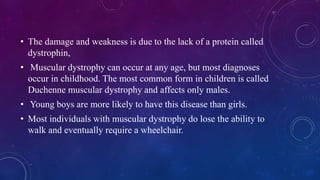 • The damage and weakness is due to the lack of a protein called
dystrophin,
• Muscular dystrophy can occur at any age, but most diagnoses
occur in childhood. The most common form in children is called
Duchenne muscular dystrophy and affects only males.
• Young boys are more likely to have this disease than girls.
• Most individuals with muscular dystrophy do lose the ability to
walk and eventually require a wheelchair.
 