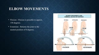 musculoskeletal_system_examination[1] (1) (3).pptx