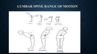 musculoskeletal_system_examination[1] (1) (3).pptx