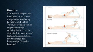 musculoskeletal_system_examination[1] (1) (3).pptx