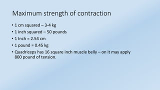 Musculoskeletal System II.pptxhdzhdhxdhhdh | PPTX
